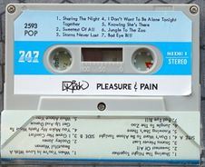 P - 747 POP 2593 - Pleasure and Pain - 2